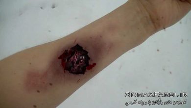 دانلود آموزش Creating Skin Parasite Cinema 4d cloth module After Effects