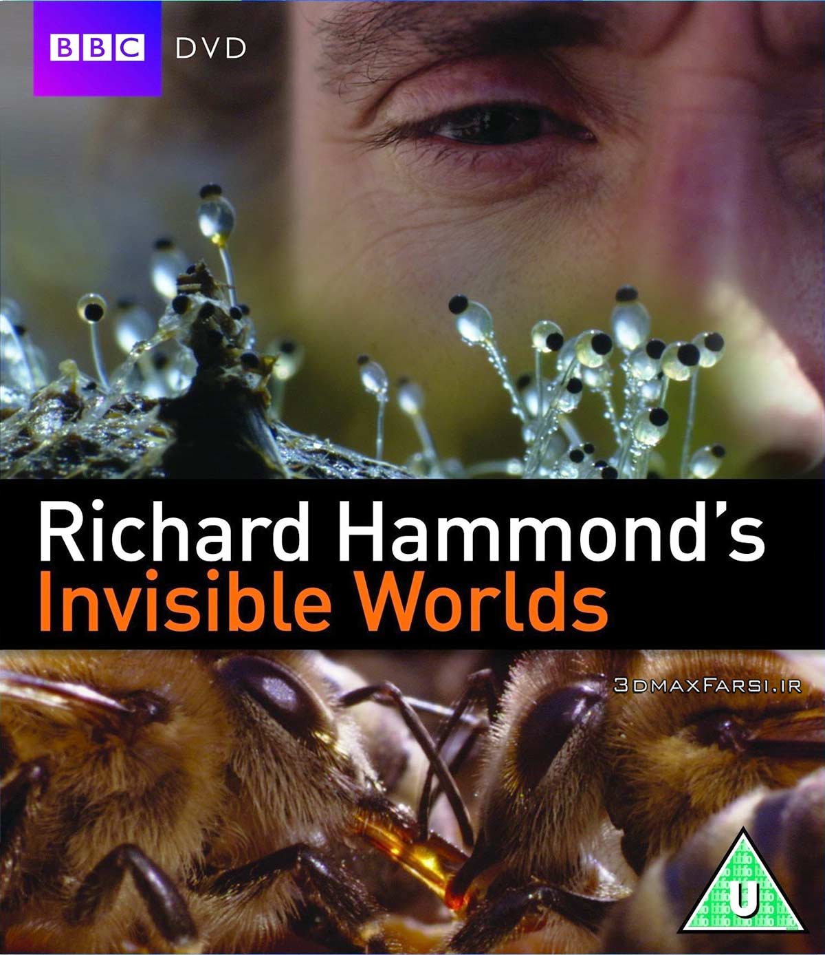 دانلود رایگان فیلم مستند علمی فارسی جهان های نامرئی ریچارد هموند Richard Hammond's Invisible Worlds