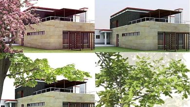 عکس های دو بعدی درخت از نمای نزدیک Dosch Design - 2D Viz-Images Foreground Plants & Trees