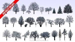 دانلود رایگان تکسچر PNG درخت اورموشن Evermotion Textures 4Ever Vol 9