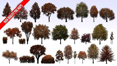 دانلود رایگان تکسچر PNG درخت اورموشن Evermotion Textures 4Ever Vol 9