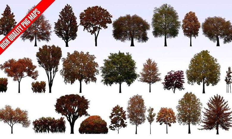 دانلود رایگان تکسچر PNG درخت اورموشن Evermotion Textures 4Ever Vol 9