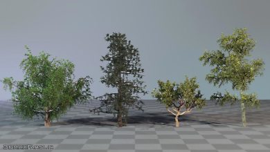 آموزش طراحی آبجکت دیجیتالی هودینی Designing VEX Driven Digital Assets in Houdini Pluralsight