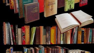 دانلود آبجکت کتاب تری دی مکس وی ری Avshare Books Pictures