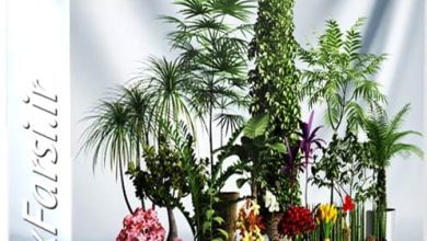 دانلود آبجکت گل و گیاه CGAxis Models Volume 1 Plants 3ds amx Vray