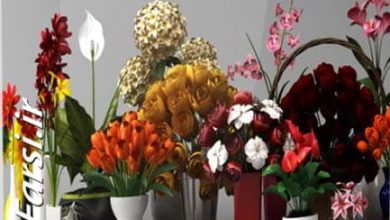 دانلود رایگان گلدان تزیینی گل و گیاه تری دی مکس CGAxis Models Volume 6 Flowers