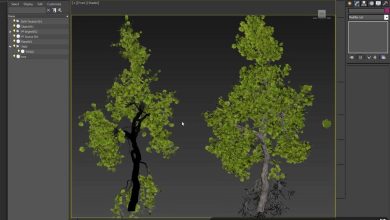 آموزش پارتیکل سیستم تری دی مکس ورتکس پینت 3ds max
