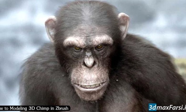 آموزش نرم افزار زیبراش حجاری و اسکالپتینگ Zbrush