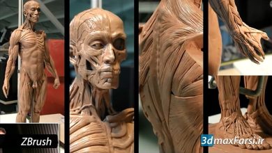 آموزش حجاری آناتومی بدن انسان نرم افزار زیبراش ZBrush