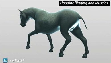 آموزش ریگ هودینی Houdini Rigging Muscles