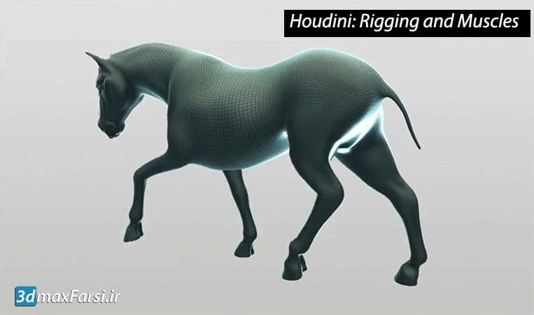 آموزش ریگ هودینی Houdini Rigging Muscles