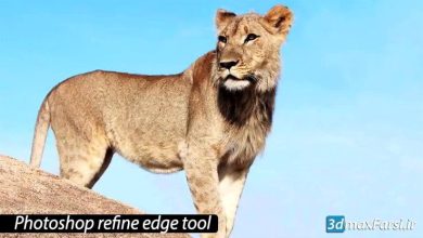 آموزش ابزار Refine Edge انتخاب مو در فتوشاپ