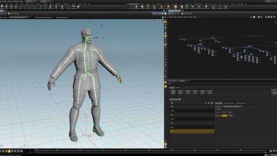 آموزش ریگ کاراکتر هودینی Houdini Autorig Tools Masterclass