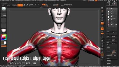 آموزش طراحی آناتومی بدن انسان زیبراش Sculpting Anatomy ZBrush