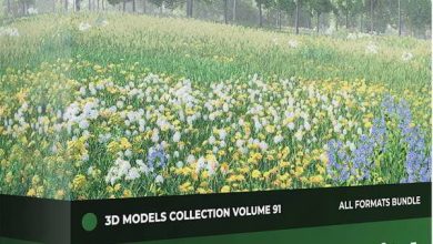 دانلود رایگان آبجکت گل و گیاه تری دی مکس + وی ری Wild Plants 3D Models Collection Volume 91