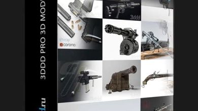 دانلود آبجکت اسلحه کلاسیک و مدرن 3DDD/3DSky – Pro Weapon 3d-models