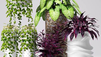 آبجکت گیاه تزئینی تری دی مکس 3DDD / 3DSky PRO models – Decorative Plants