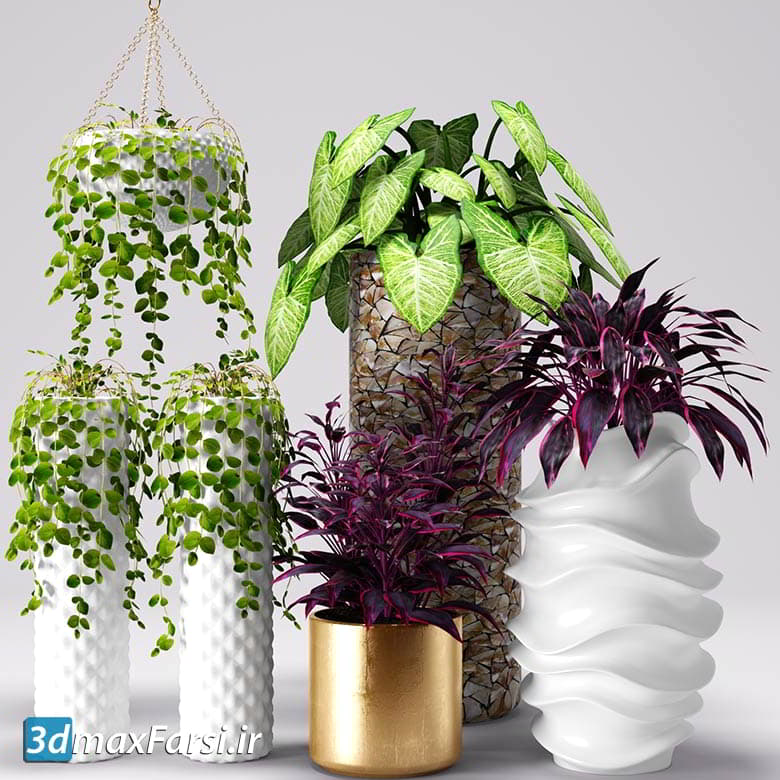 آبجکت گیاه تزئینی تری دی مکس 3DDD / 3DSky PRO models – Decorative Plants