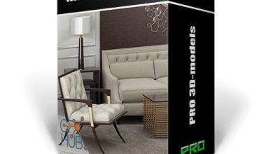 دانلود جدیدترین آبجکت لوازم دکوری منزل 3DDD PRO models – Bundle 11