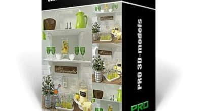 3ddd pro models bundle 12