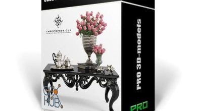آبجکت میز و صندلی برای دکوراسیون و رندر داخلی 3DDD PRO Table and Chair Vol. 3
