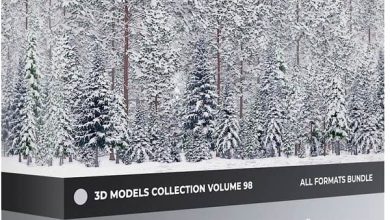 دانلود درختان کوهنوردی زمستانی Winter Conifer Trees 3D Models Collection