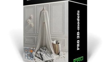 دانلود پکیج سه بعدی آبجکت دکوراسیون داخلی 3DDD PRO models – Bundle 16