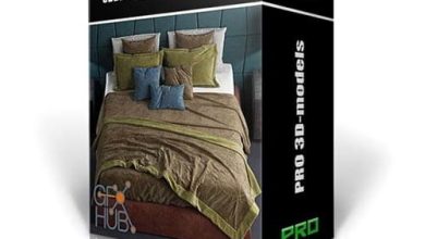دانلود باندل آبجکت سبک تری دی مکس ویری 3DDD PRO models – Bundle 19