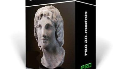 باندل آبجکت های دکوراسیون داخلی 3DDD PRO models – Bundle 21