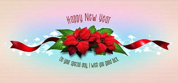 گل گیاه ساخت تیزر تبلیغاتی ویدئو هایو