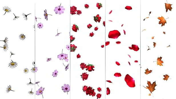 ساخت انیمیشن رشد گل پیچک در نرم افزار افتر افکت ویدئو هایو