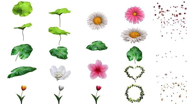 پروژه آماده عناصر گل و گیاه افتر افکت