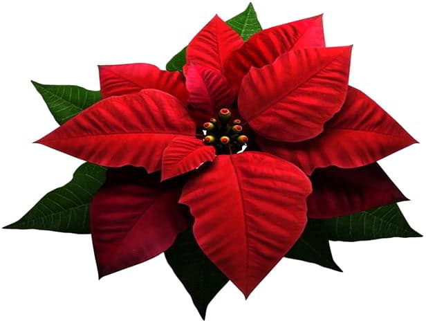 دانلود مجموعه پروژه های آماده افترافکت تیزر تبلیغاتی ویدئو هایو