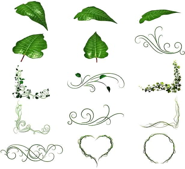 دانلود پروژه آماده افتر افکت انیمیشن اجزای گل گیاه videohive : 108 Flower Elements