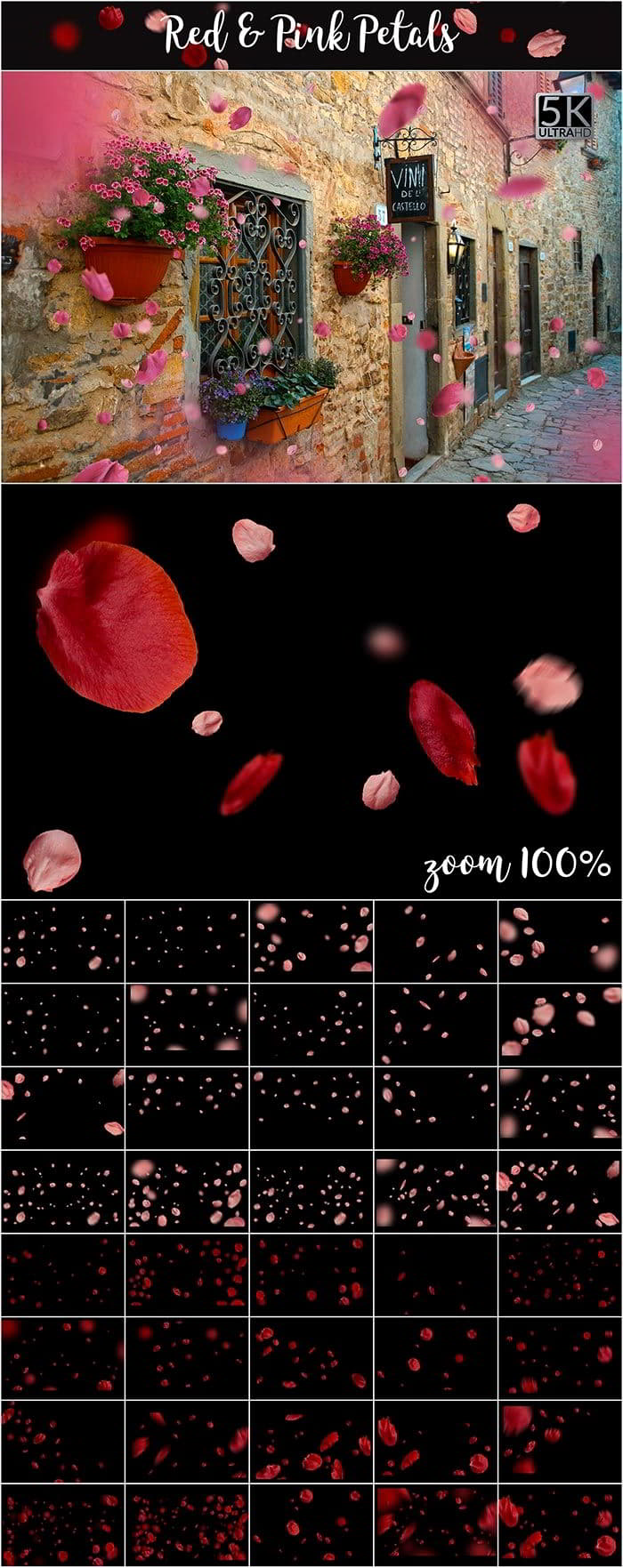 دانلود رایگان افکت برای فتوشاپ گل برگ