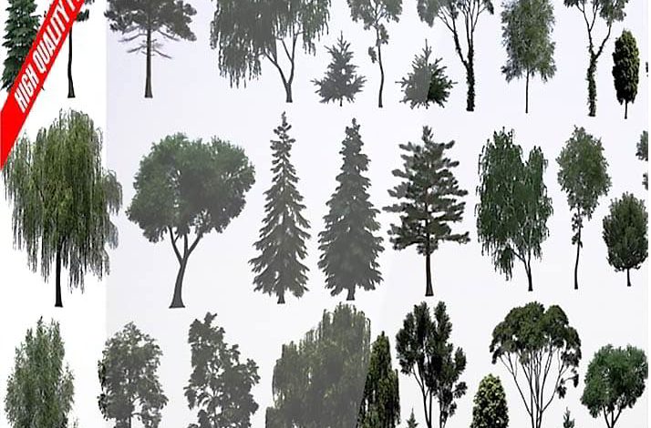 دانلود آبجکت درخت فتوشاپ 2 بعدی psd لایه باز Evermotion Textures4ever vol 8