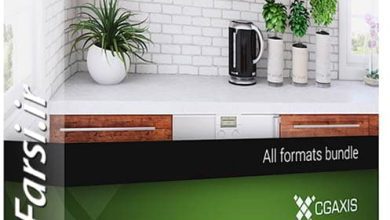 دانلود مدل گلدان های تزیینی CGAxis Models Volume 50 3D Plants