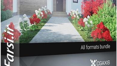 دانلود مدل سه بعدی درخت باغ ویلا CGAxis Models 66 Garden Plants II