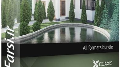 مدل سه بعدی درخت مخروطی شکل CGAxis Models Volume 69 Trees VIII