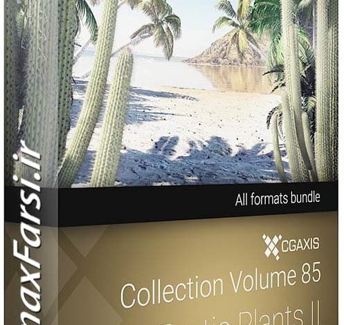 دانلود آبجکت تنه درخت گرمسیری CGAxis Models Volume 85 Exotic Plants II