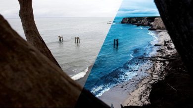 آموزش تصویری کار با عکس با فرمت Raw لایت روم فتوشاپ Lynda – Working with Raw-Format Photos in Lightroom and Photoshop