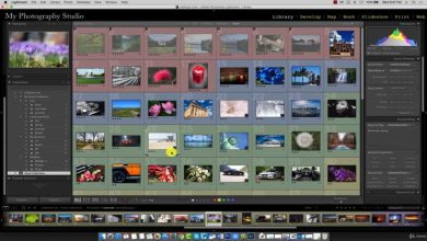 آموزش لایت روم Udemy – Lightroom CC - Smart Collections & Quick Develop Module Download