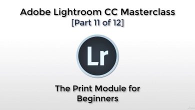نحوه پرینت گرفتن عکس لایت روم Adobe Lightroom CC - The Print Module for Beginners