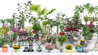 دانلود مجموعه آرچ مدل 173 : مدل های سه بعدی گل و بوته خانگی Evermotion – Archmodels Vol 173: indoor plants and flowers models