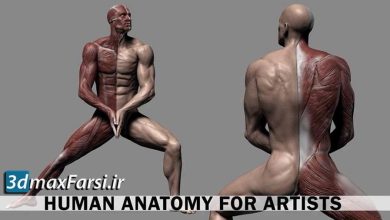 آموزش زیبراش Udemy – Human Anatomy for Artists using Zbrush and Photoshop