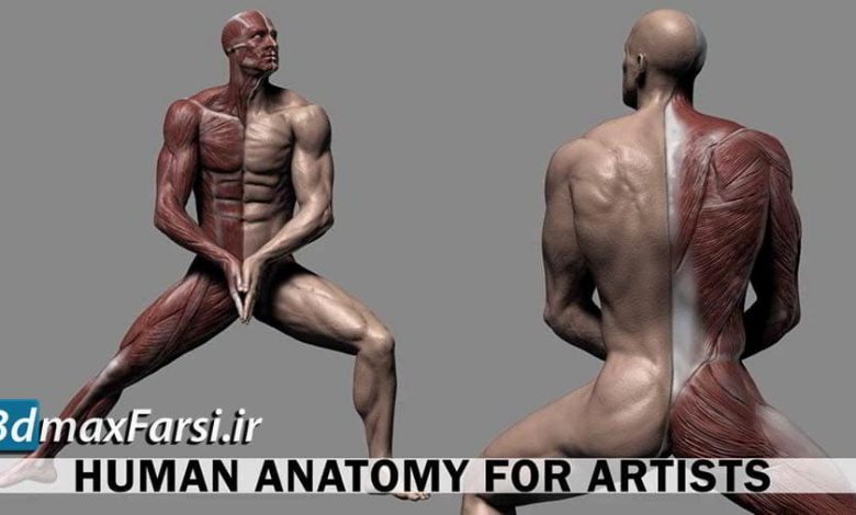 آموزش زیبراش Udemy – Human Anatomy for Artists using Zbrush and Photoshop