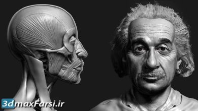 آموزش Udemy – Zbrush Facial Anatomy and Likeness Character Sculpting