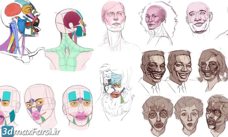 CGMaster Academy – Head Drawing and Construction آموزش طراحی پوستر چهره با فتوشاپ نقاشی چهره با دقت بالا در فتوشاپ