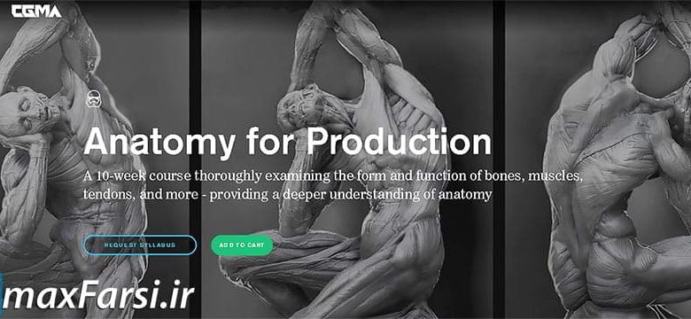 اسکالپتینگ سه بعدی آناتومی انسان توسط نرم افزار زیبراش ZBrush CGMaster Academy – Anatomy for Production
