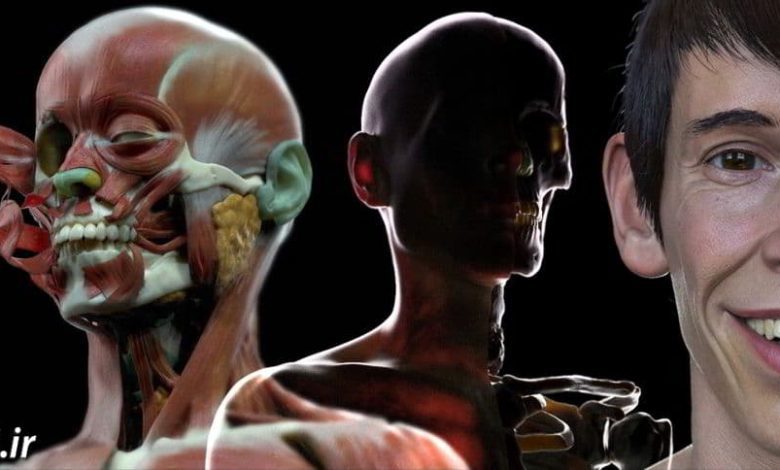 CG Master Academy – Character Facial Sculpting